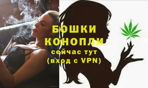 дурь Верея