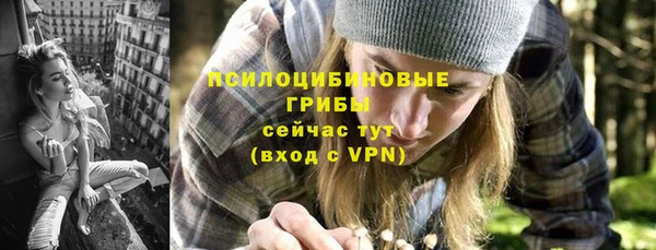 герыч Верхний Тагил