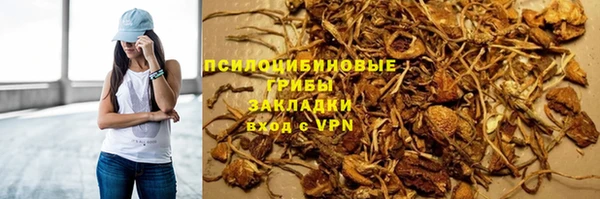 гашик Верхнеуральск