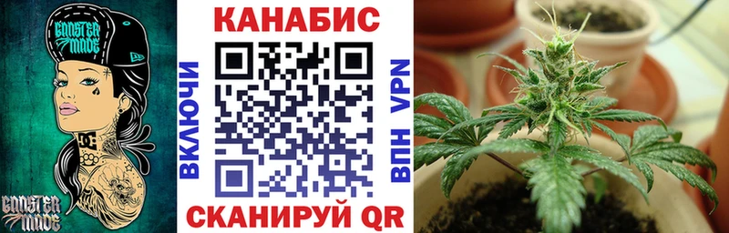 Купить где  Фатеж  Канабис THC 21% 